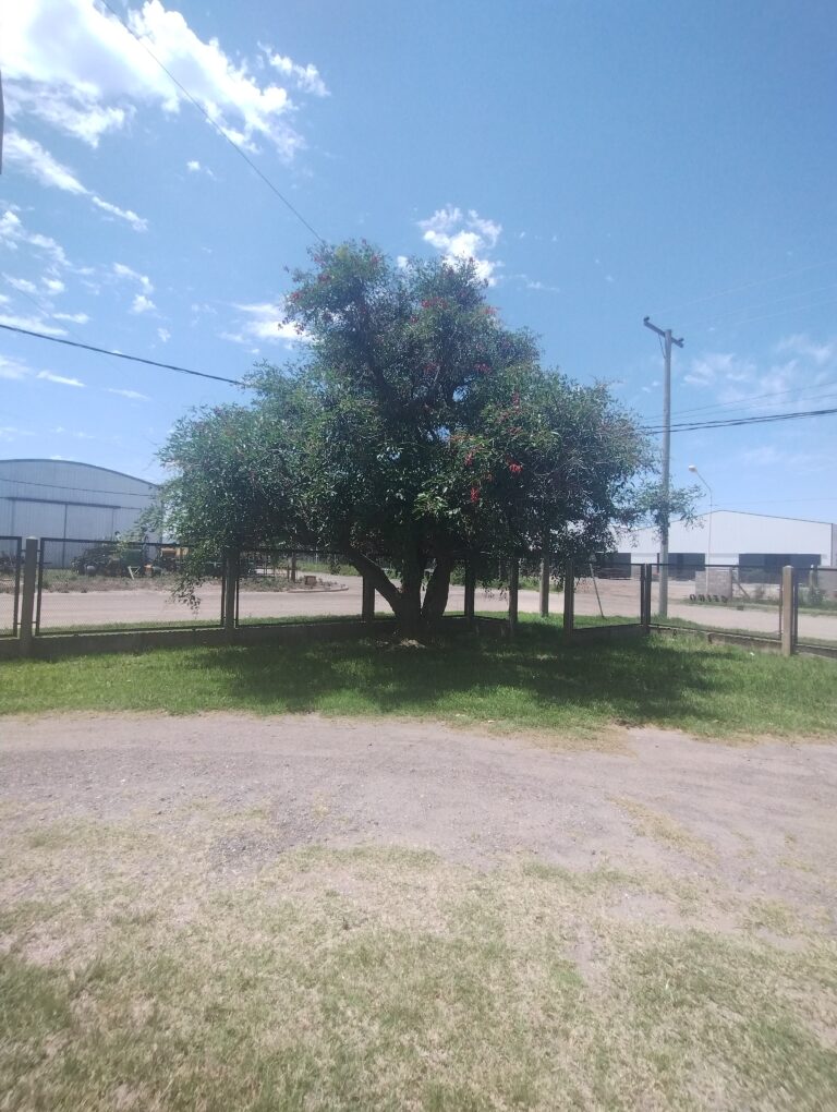 17309101987322757184292678503064 768x1020